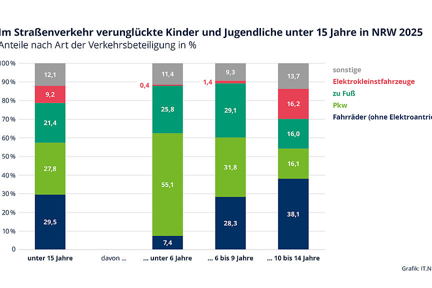 KInder neu_1 Verkehrsmittel nach % Anteil